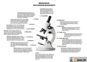 Mikroskop: Fungsi Beserta Bagia-Bagiannya